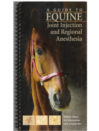 Image of A Guide to Equine Joint Injection and  Regional Anesthesia
