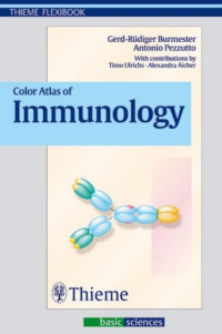 Image of Color Atlas Of Immunology